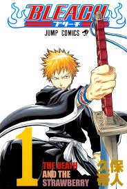 Cover Bleach